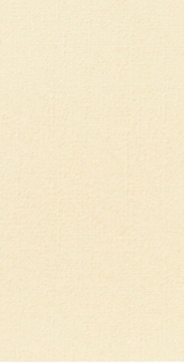 Dunisoft Bio Servet Airlaid Uni 40 x 40 cm, 6 x 60 stuks CREAM 1/8 vouw - Afbeelding 2